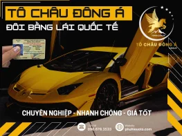 Đổi Bằng Lái Việt Nam, Quốc Tế tại Hồ Chí Minh