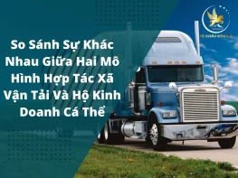 So sánh sự khác nhau giữa hai mô hình Hợp Tác Xã Vận Tải và Hộ Kinh Doanh Cá Thể 