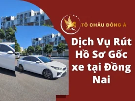 DỊCH VỤ RÚT HỒ SƠ GỐC XE Ô TÔ TẠI ĐỒNG NAI 